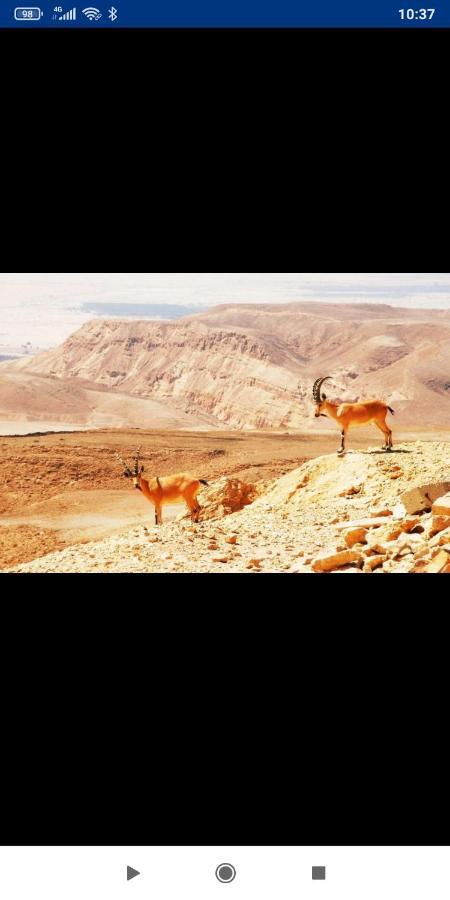 אלת המדברgoddess Of The Desert Be'er Ora Exterior foto